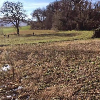 Vijf jaar Camping Suasa!