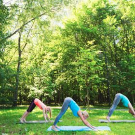 Activiteiten bij Camping Suasa