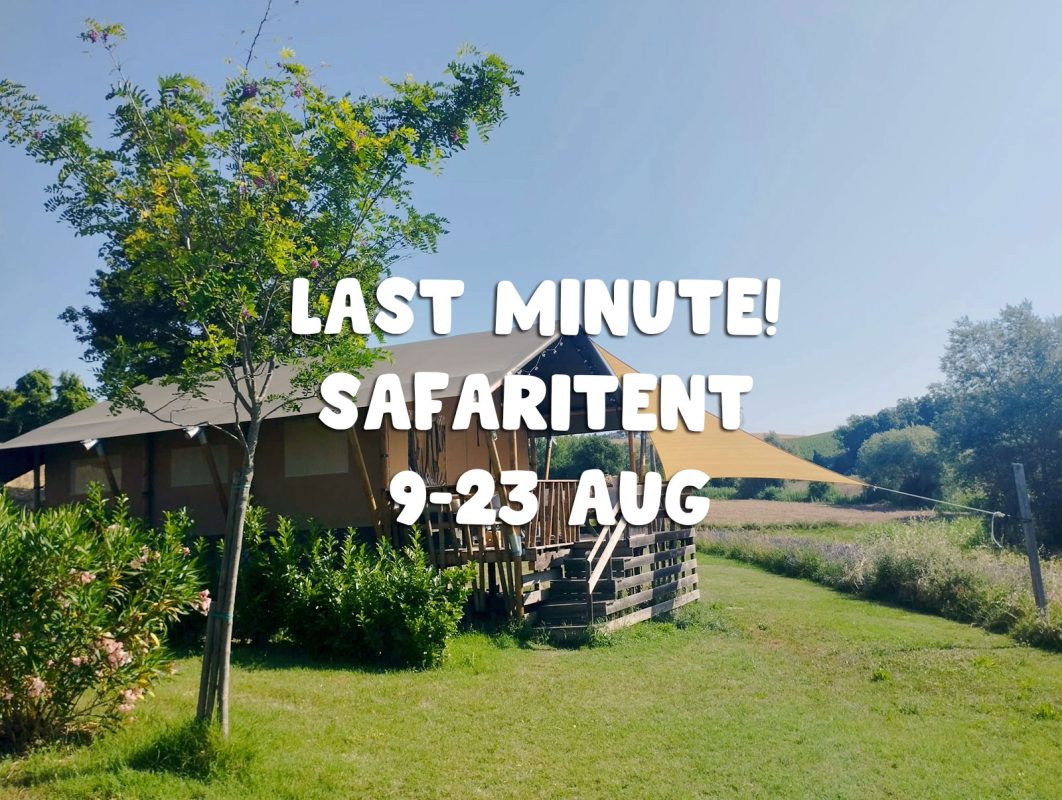 Last Minute Safaritent van 9-23 aug