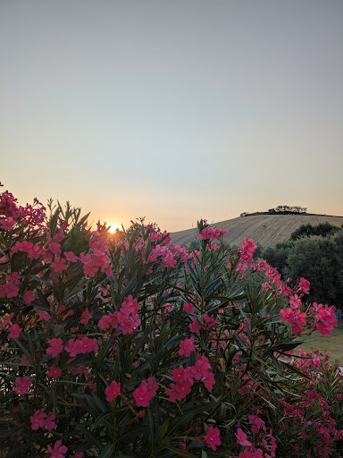 Foto van klantenbeoordeling