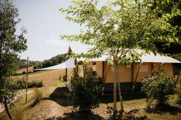 camping suasa safaritent 17