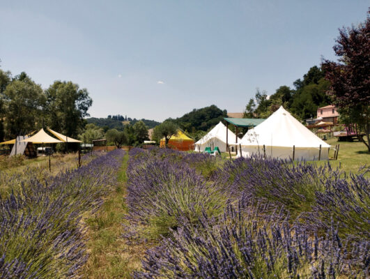 Camping Suasa Belltent