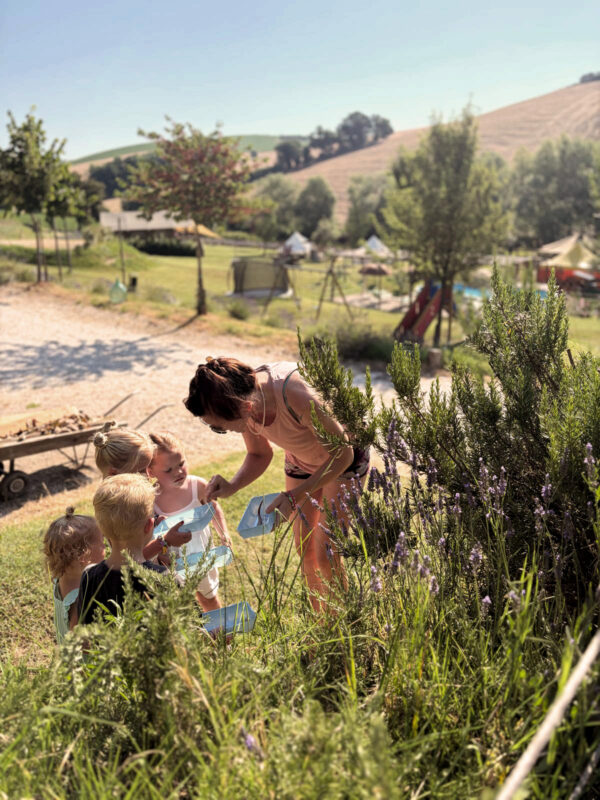 Camping Suasa Bessen Plukken Kidsclub