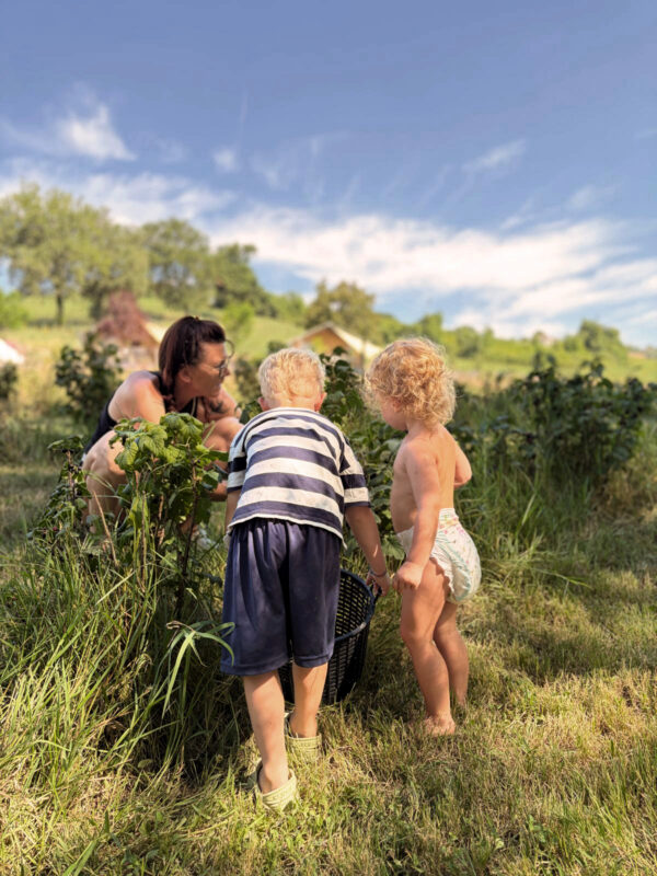 Camping Suasa Bessen Verzamelen Veld