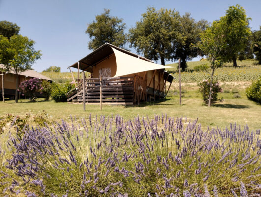 Camping Suasa Safaritent Lavendel